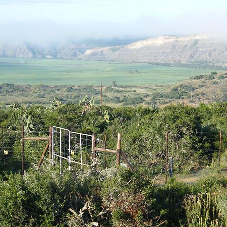 Kudu Ridge Game Lodge Addo Dış mekan fotoğraf