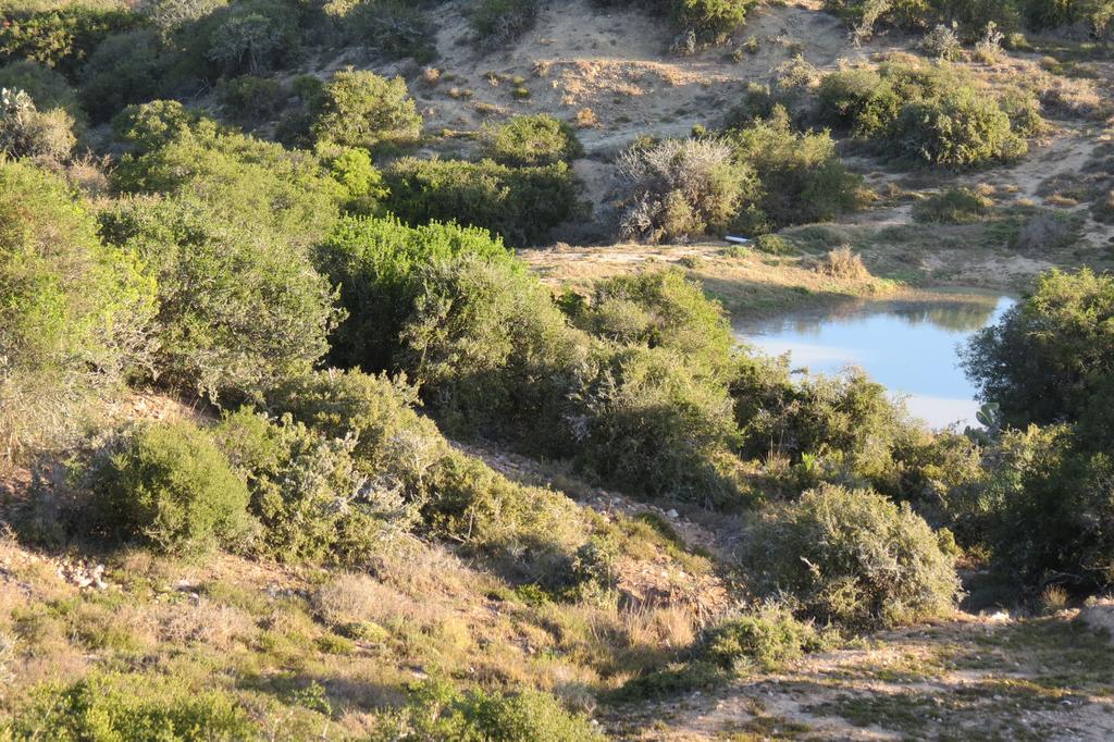 Kudu Ridge Game Lodge Addo Dış mekan fotoğraf