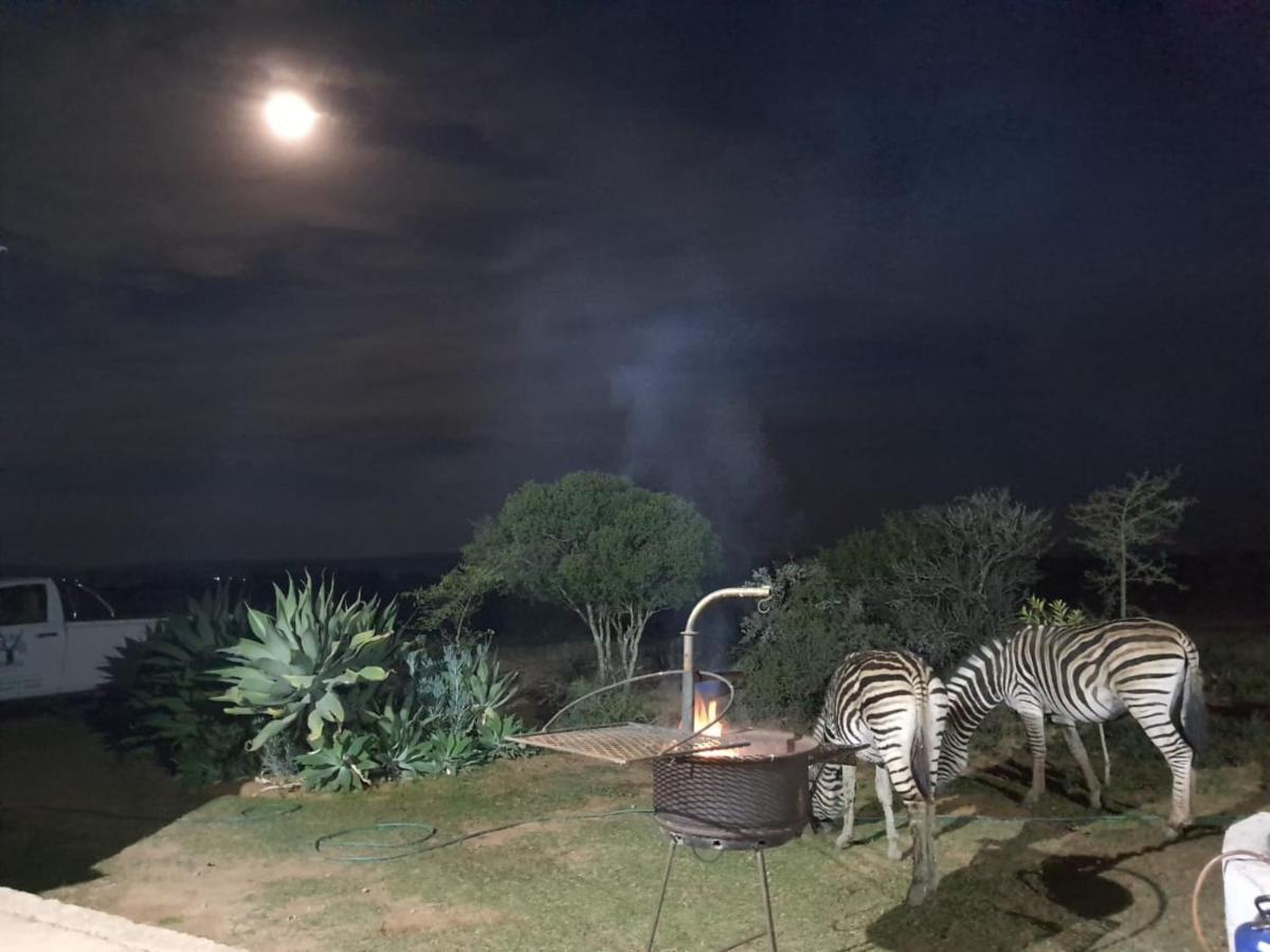 Kudu Ridge Game Lodge Addo Dış mekan fotoğraf