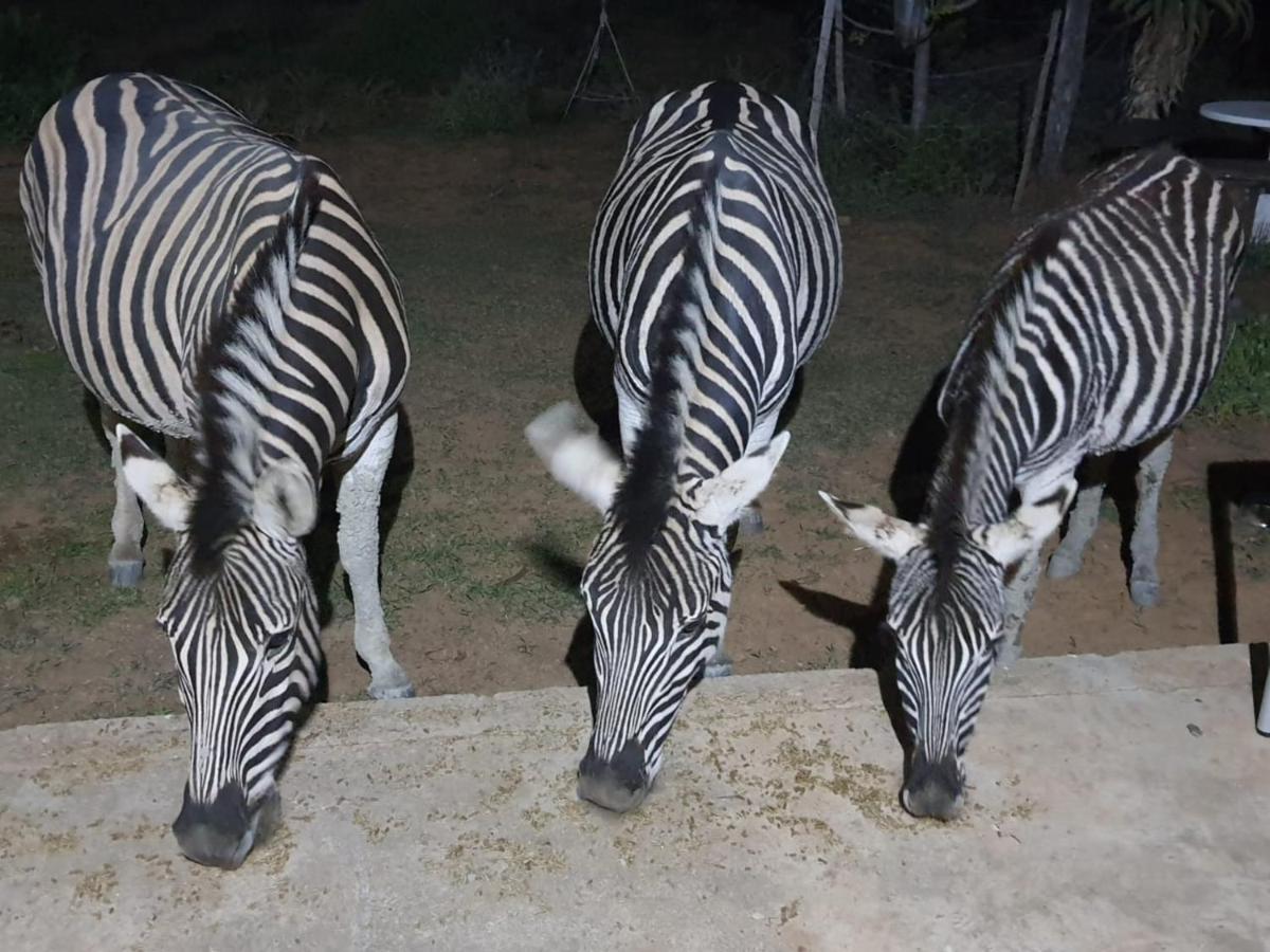Kudu Ridge Game Lodge Addo Dış mekan fotoğraf