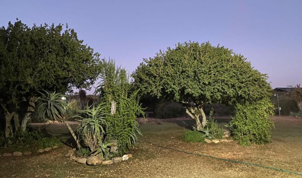Kudu Ridge Game Lodge Addo Dış mekan fotoğraf