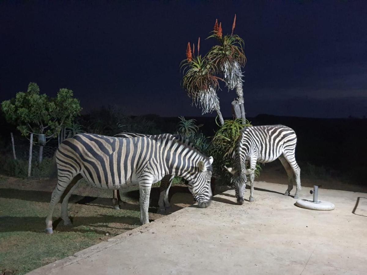 Kudu Ridge Game Lodge Addo Dış mekan fotoğraf