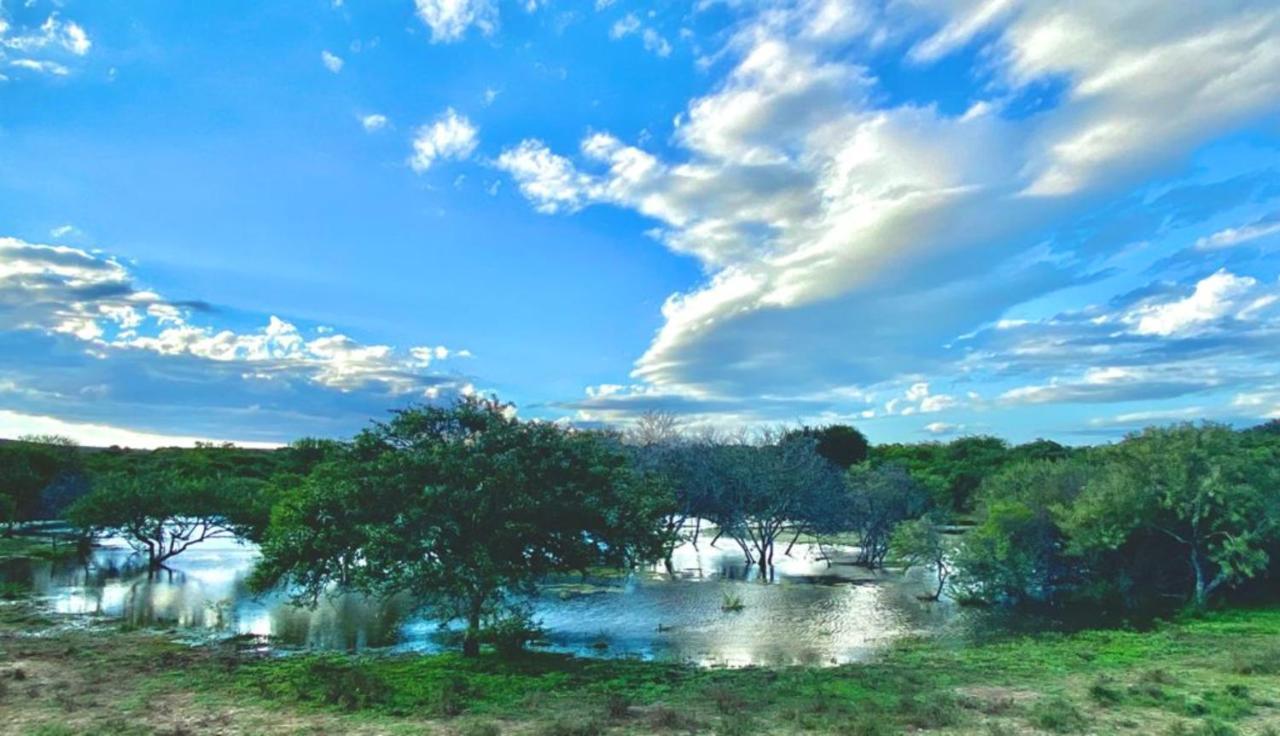 Kudu Ridge Game Lodge Addo Dış mekan fotoğraf