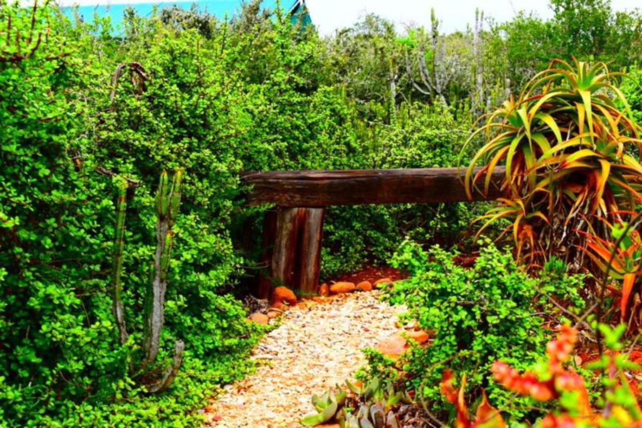 Kudu Ridge Game Lodge Addo Dış mekan fotoğraf