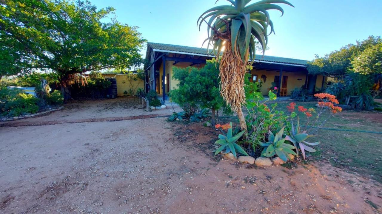 Kudu Ridge Game Lodge Addo Dış mekan fotoğraf