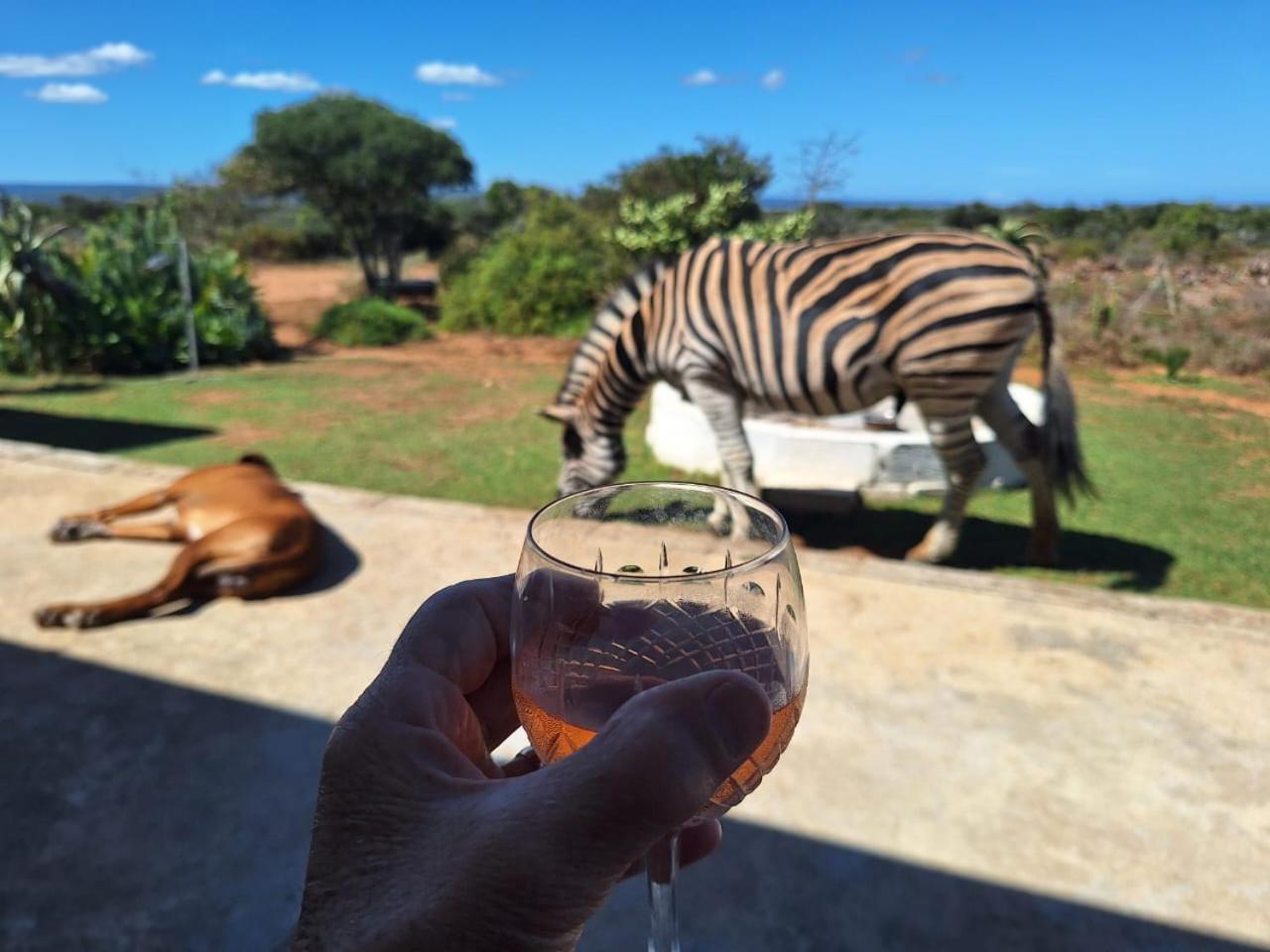 Kudu Ridge Game Lodge Addo Dış mekan fotoğraf