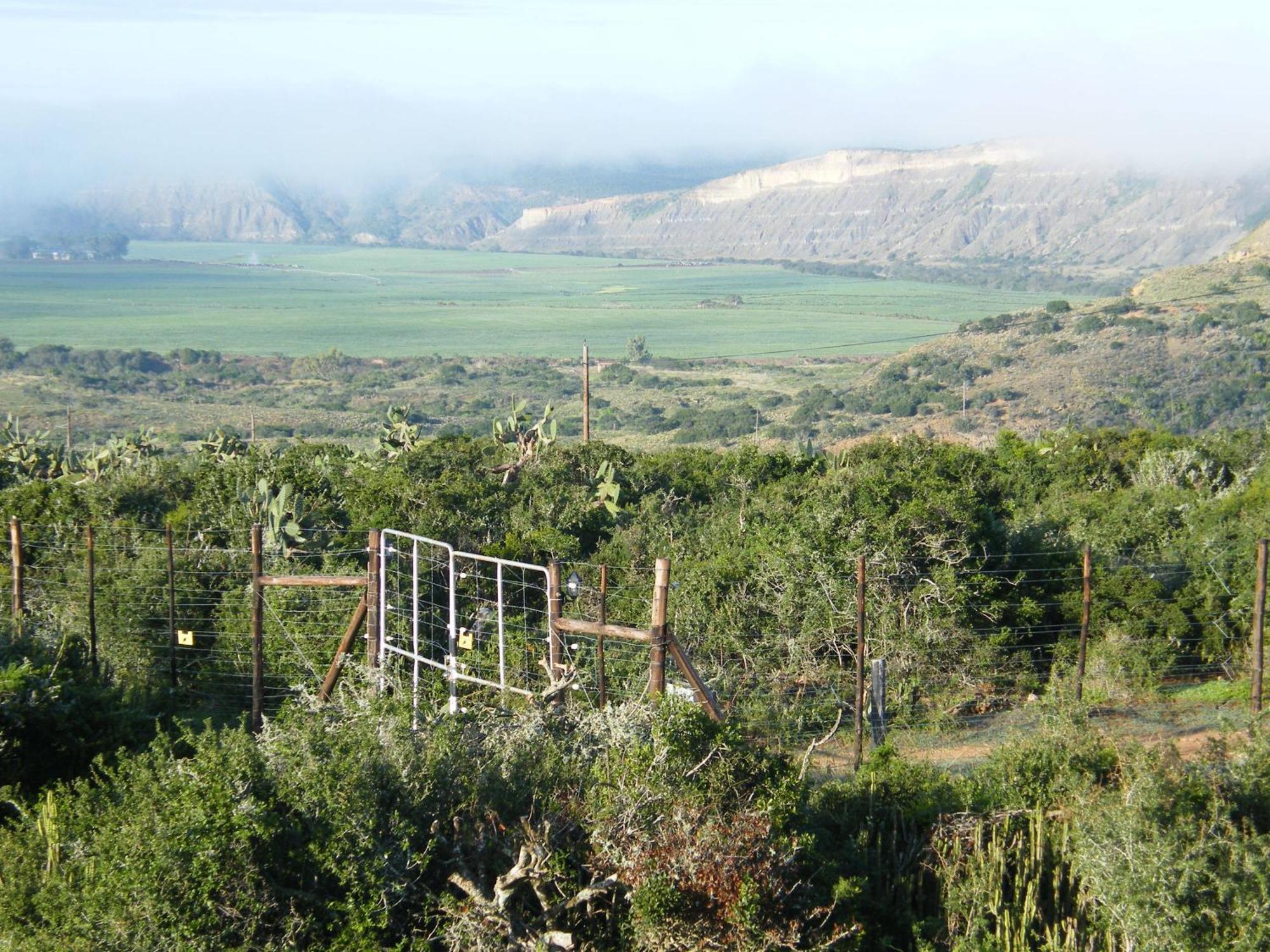 Kudu Ridge Game Lodge Addo Dış mekan fotoğraf