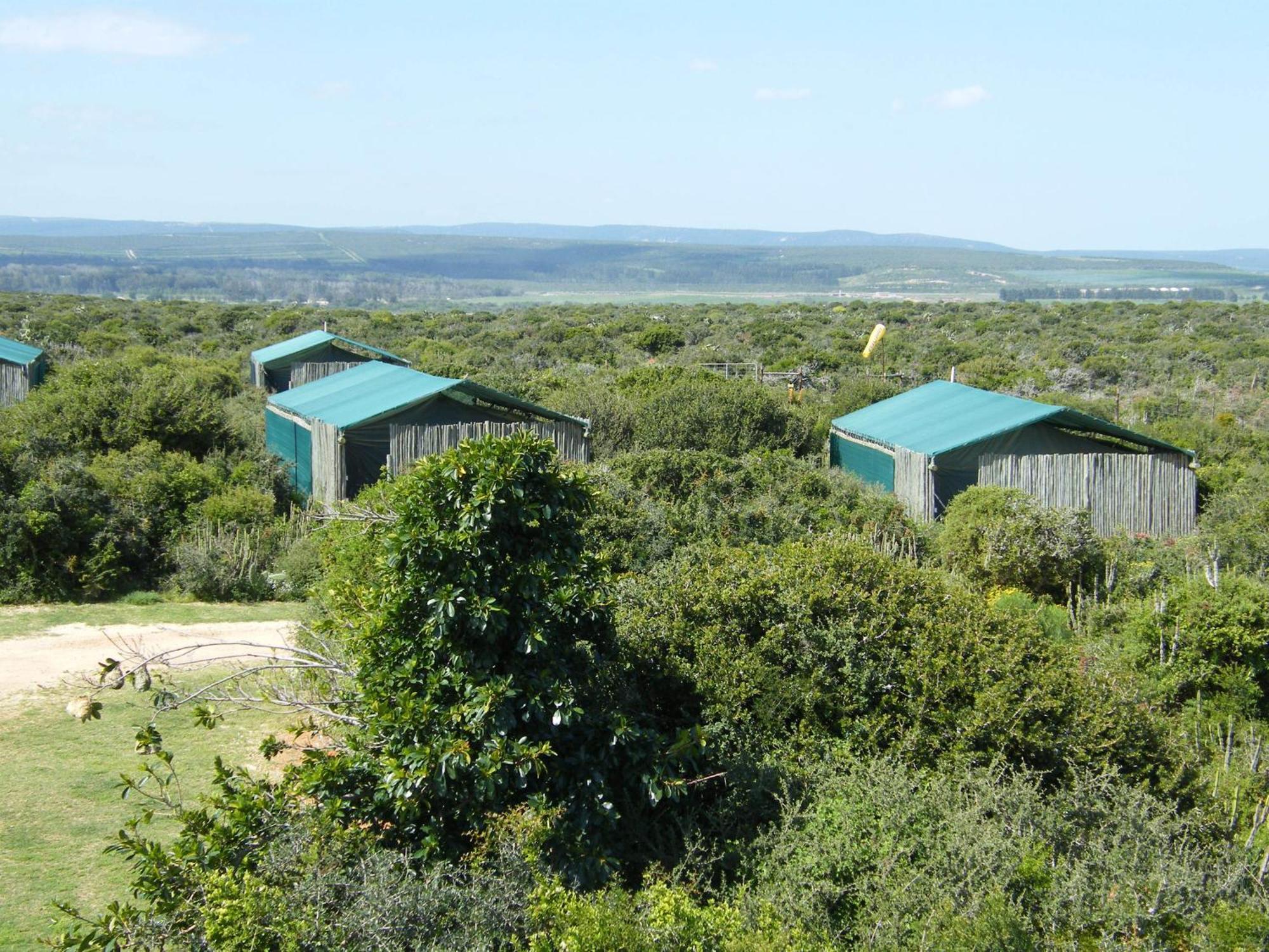 Kudu Ridge Game Lodge Addo Oda fotoğraf